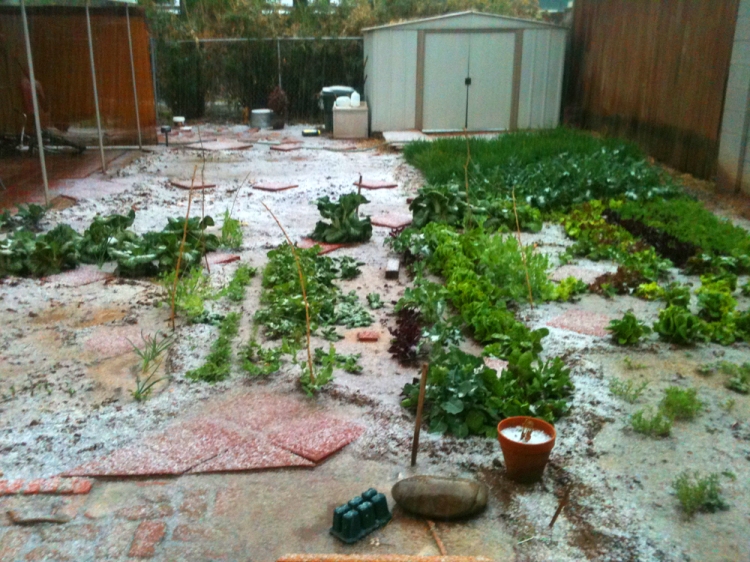 Pea sized hail storm. Supposedly the temp never got below 32F.