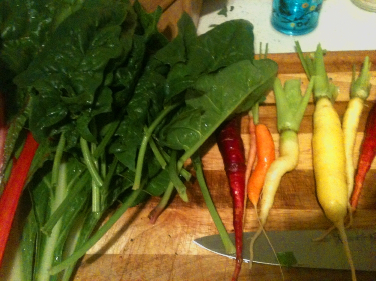 Daily harvest, sometimes twice. I would even juice the carrots and beets if there were too many.